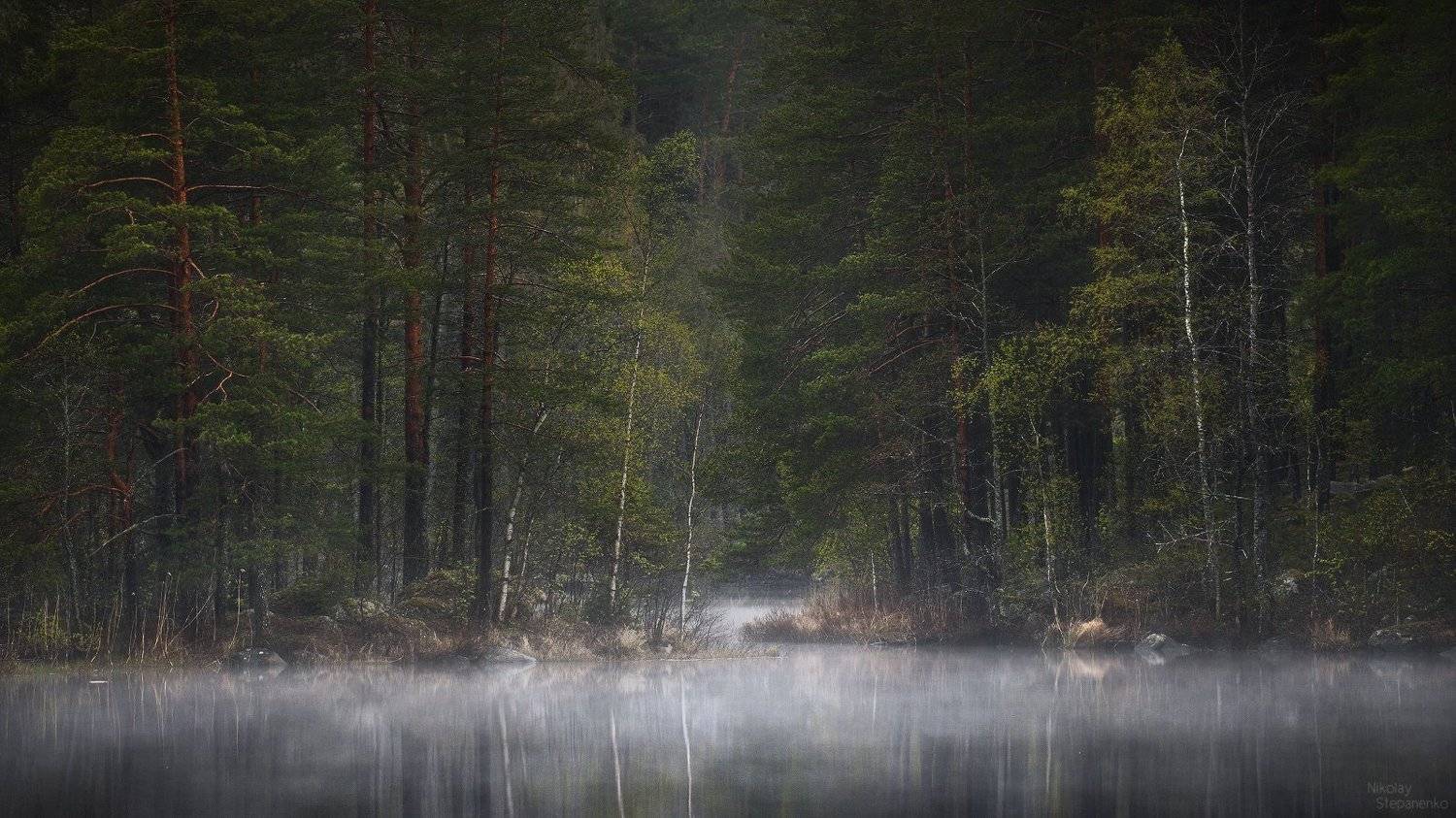 весна, лес, озеро, тайга, ленинградская область, выборгский район, Николай Степаненко