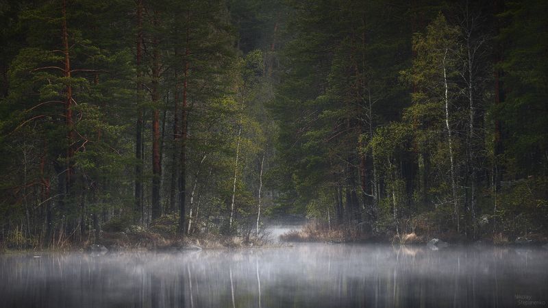весна, лес, озеро, тайга, ленинградская область, выборгский район Кукушка фото превью