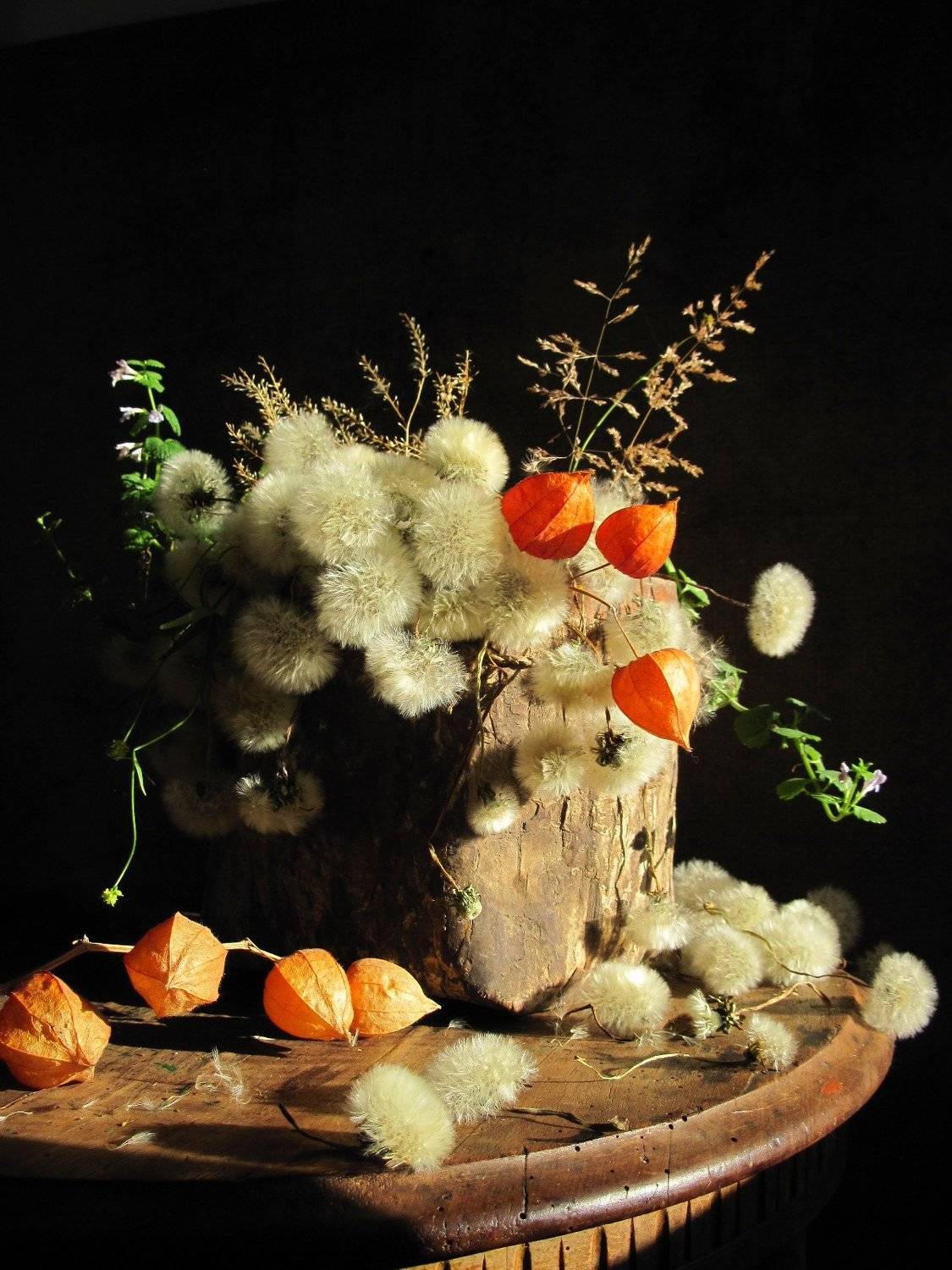 цветы, букет, одуванчики, физалис, пестерь, винтаж, Наталия Тихомирова