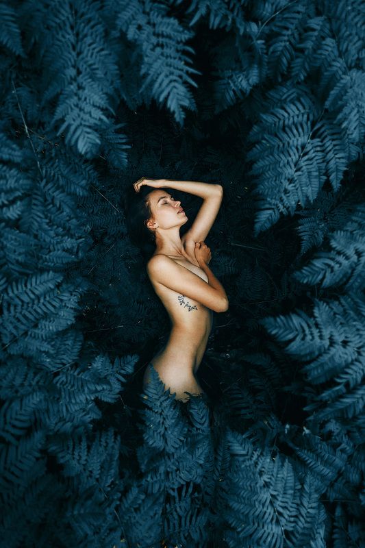 голая девушка, папоротник, природа, трава, тату, фигура, девушка, тайга папоротник фото превью