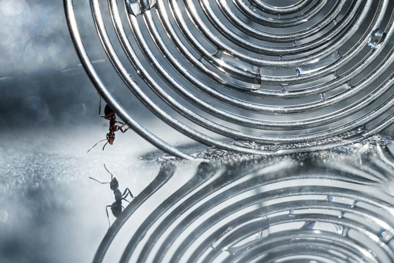 Параллельные миры. Или путешествие по замкнутому кругу... фото превью