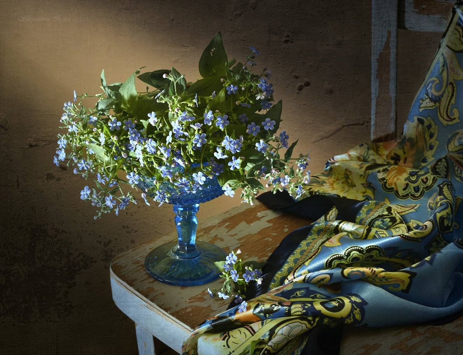 , Шипунова Ирина