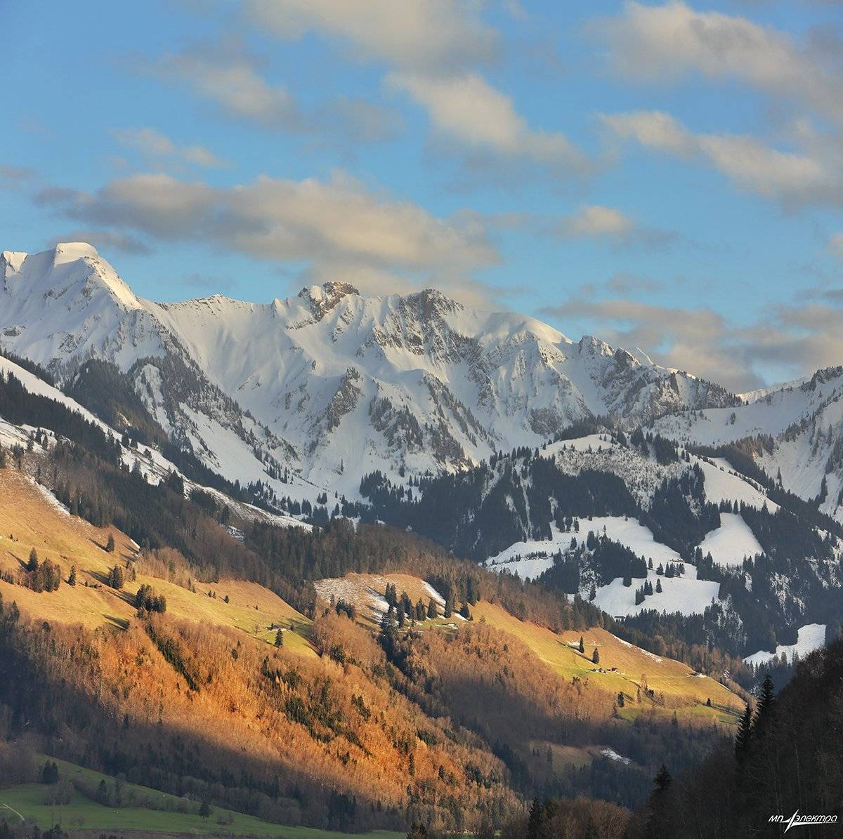 swiss, Матвеев Николай