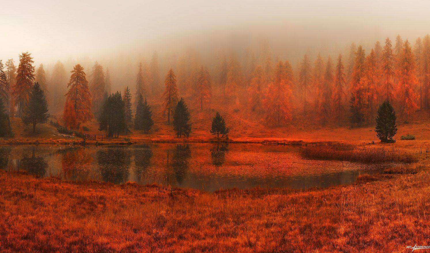 swiss, Матвеев Николай