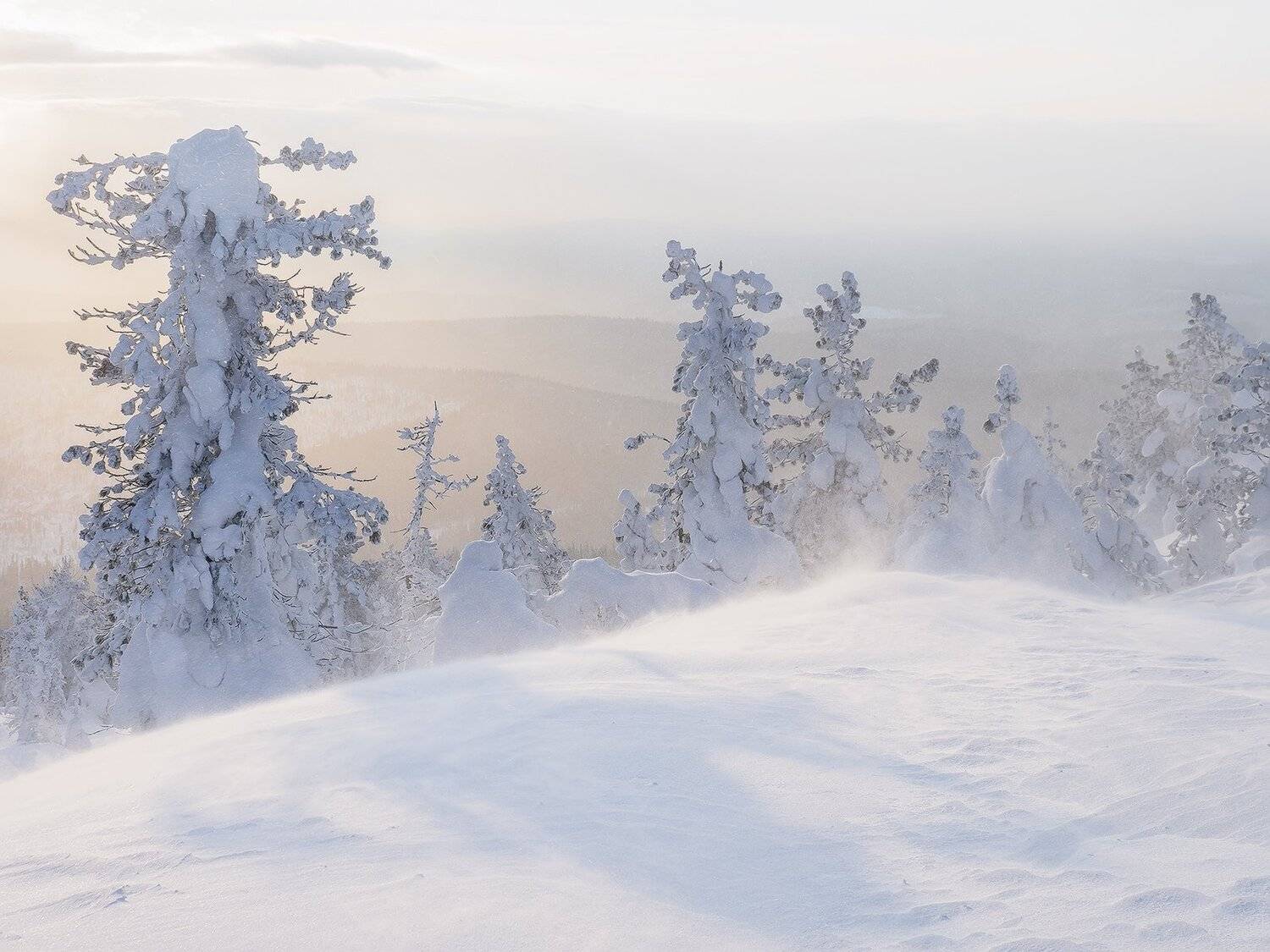 , Лещёнок Александр