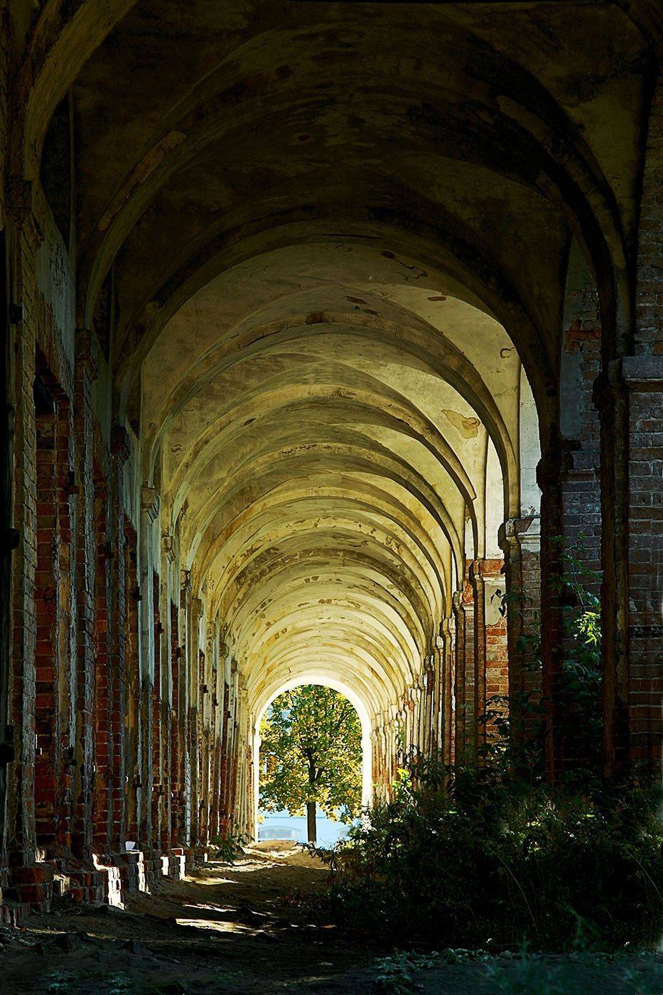 пейзаж,  архитектура,здание,дерево, landscape, architecture, tree, building, nature, Юлия Стукалова