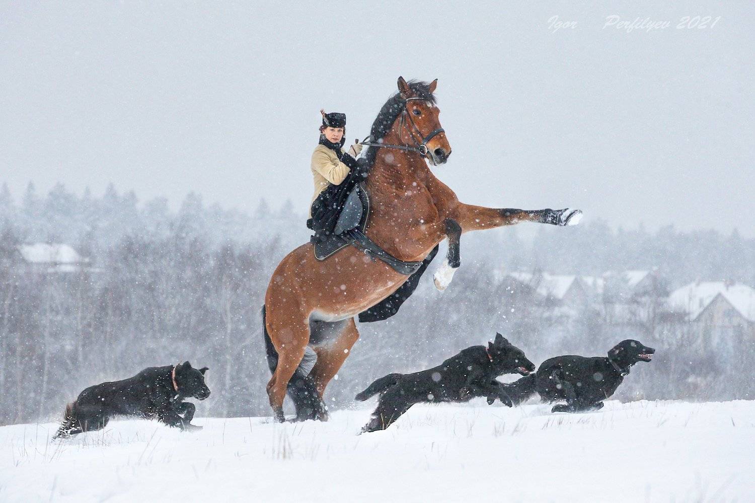 , игорь перфильев