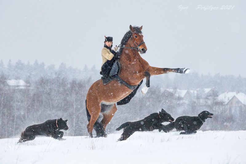 про  февраль фото превью