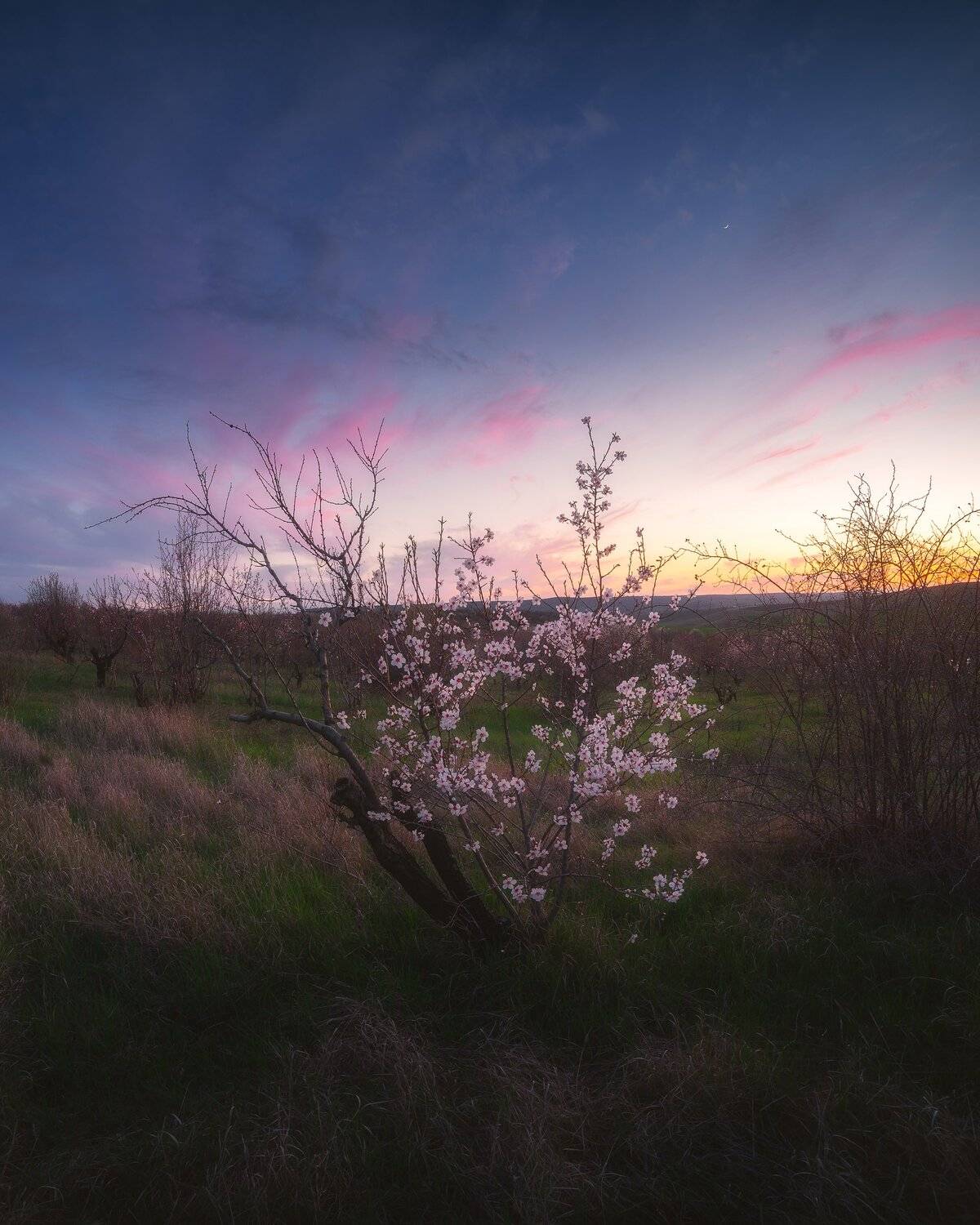 , Oleg Feofanov