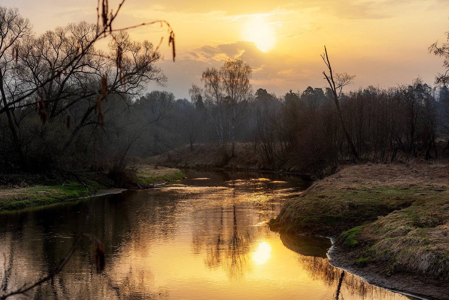 , Дмитрий Асеев