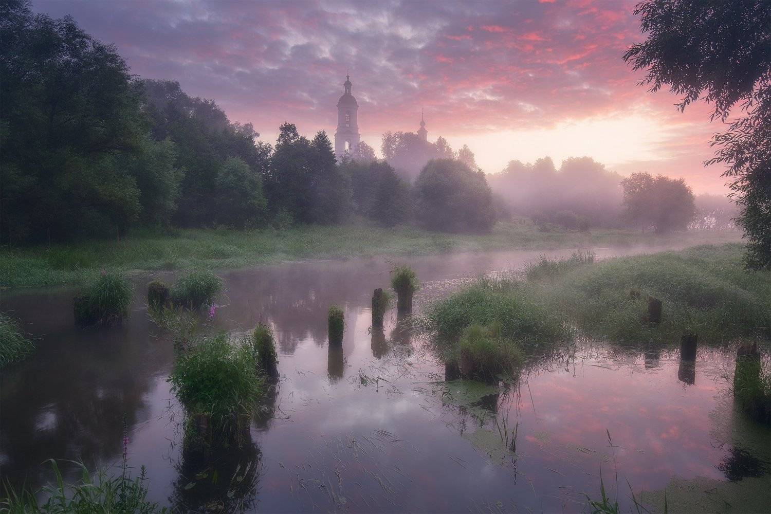, Анна Политова