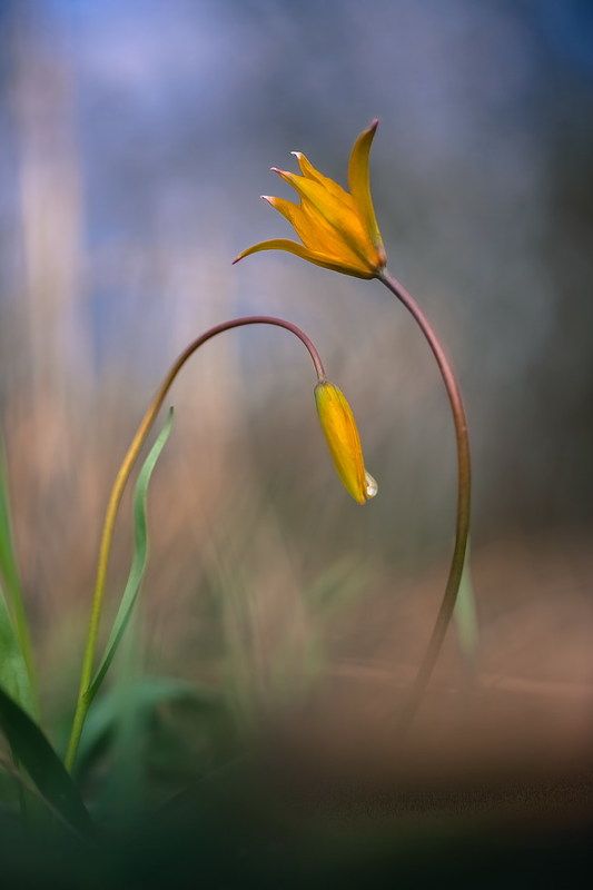 Когда я закрываю глаза... фото превью