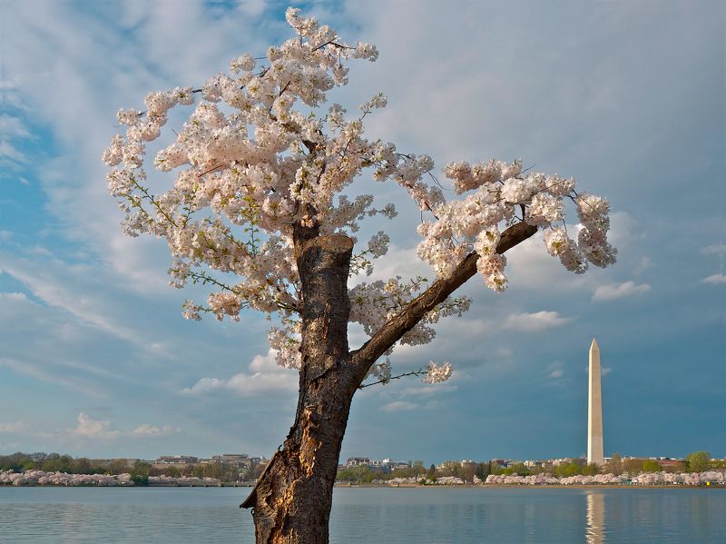 Жажда жизни... фото превью