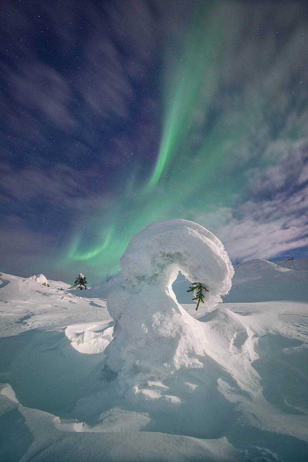 , Елена Ермолина