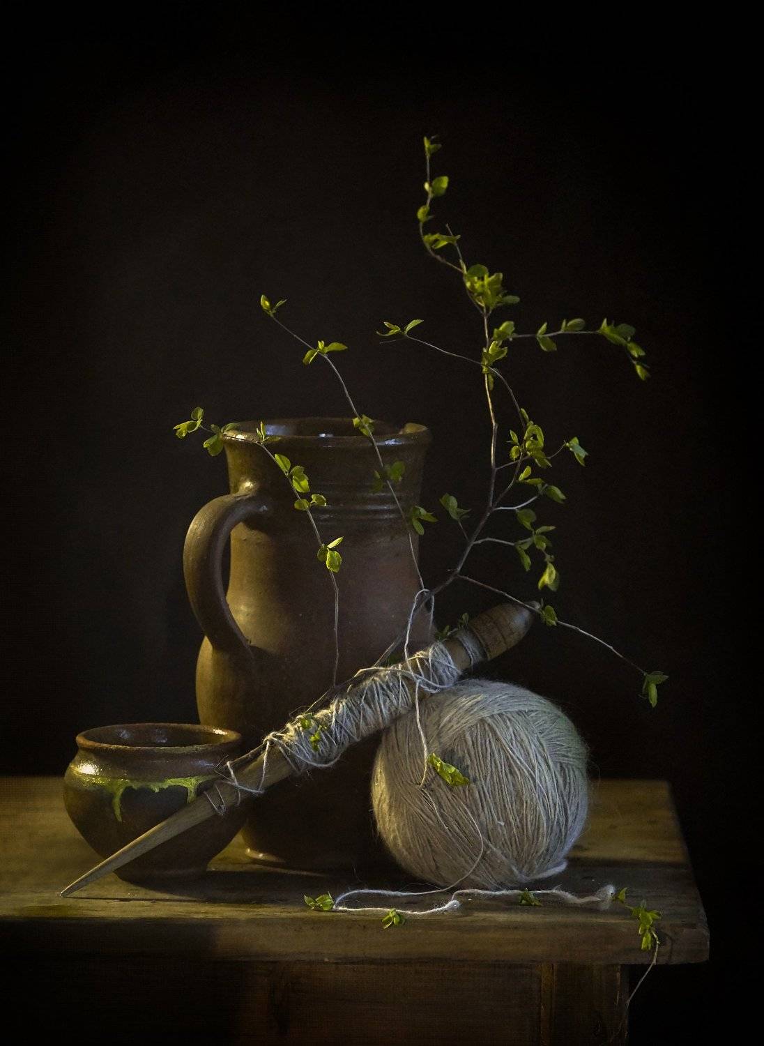 , Светлана Сушкевич