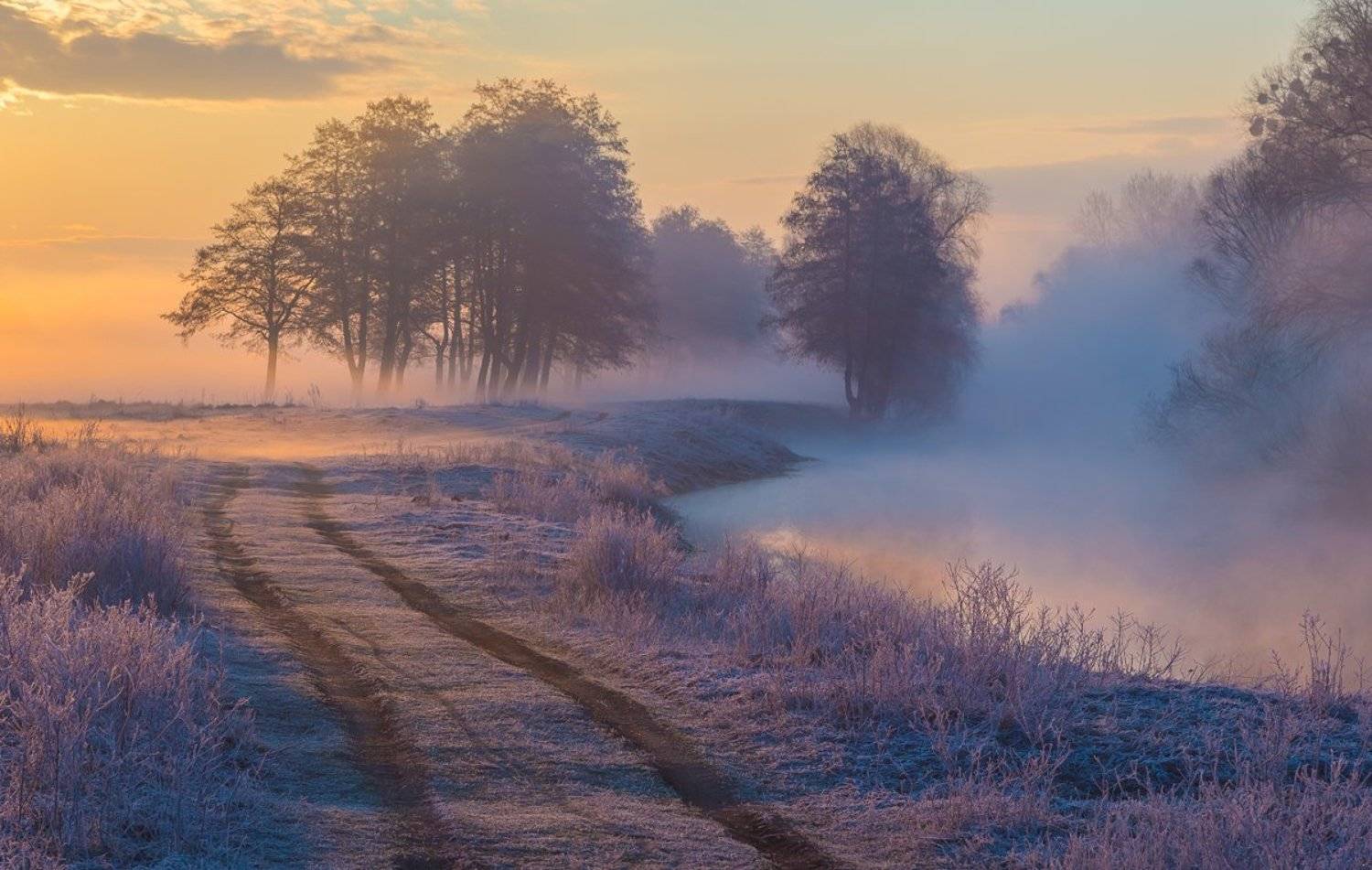 , Александр Подрез