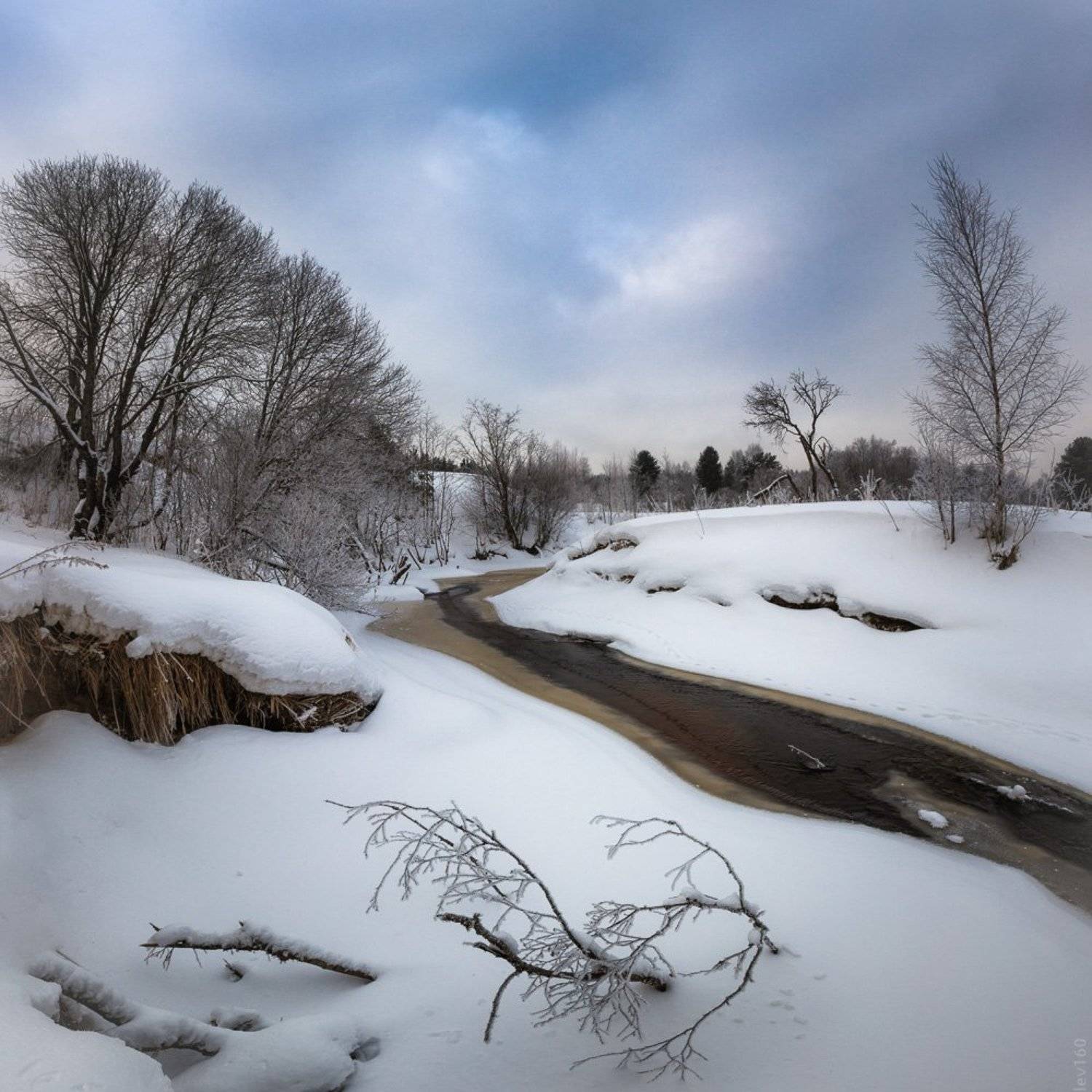 , Евгений Луцко