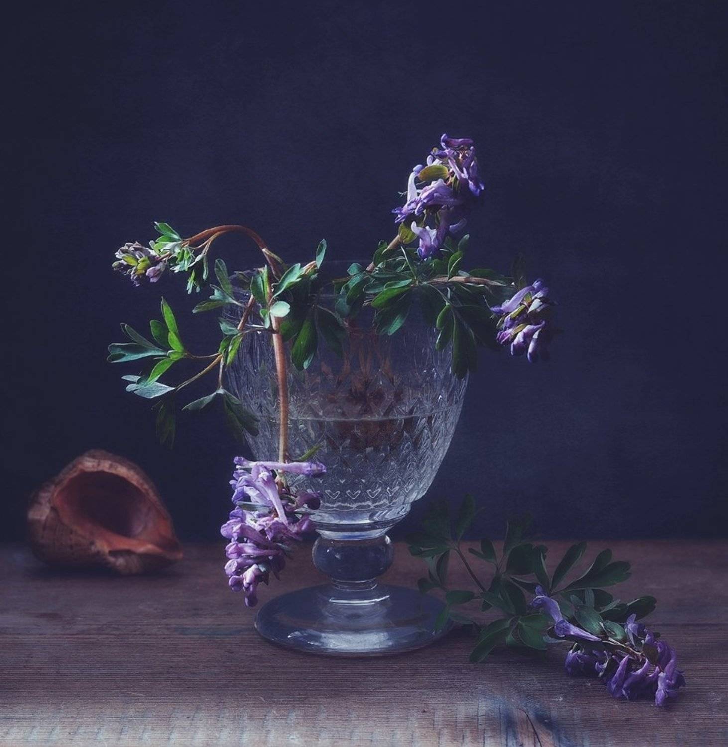 натюрморт,весна,цветы,первоцвет,хохлатка, Наталия К