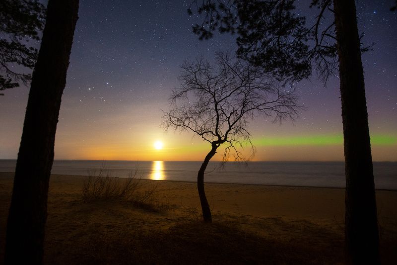 Апрель фото превью