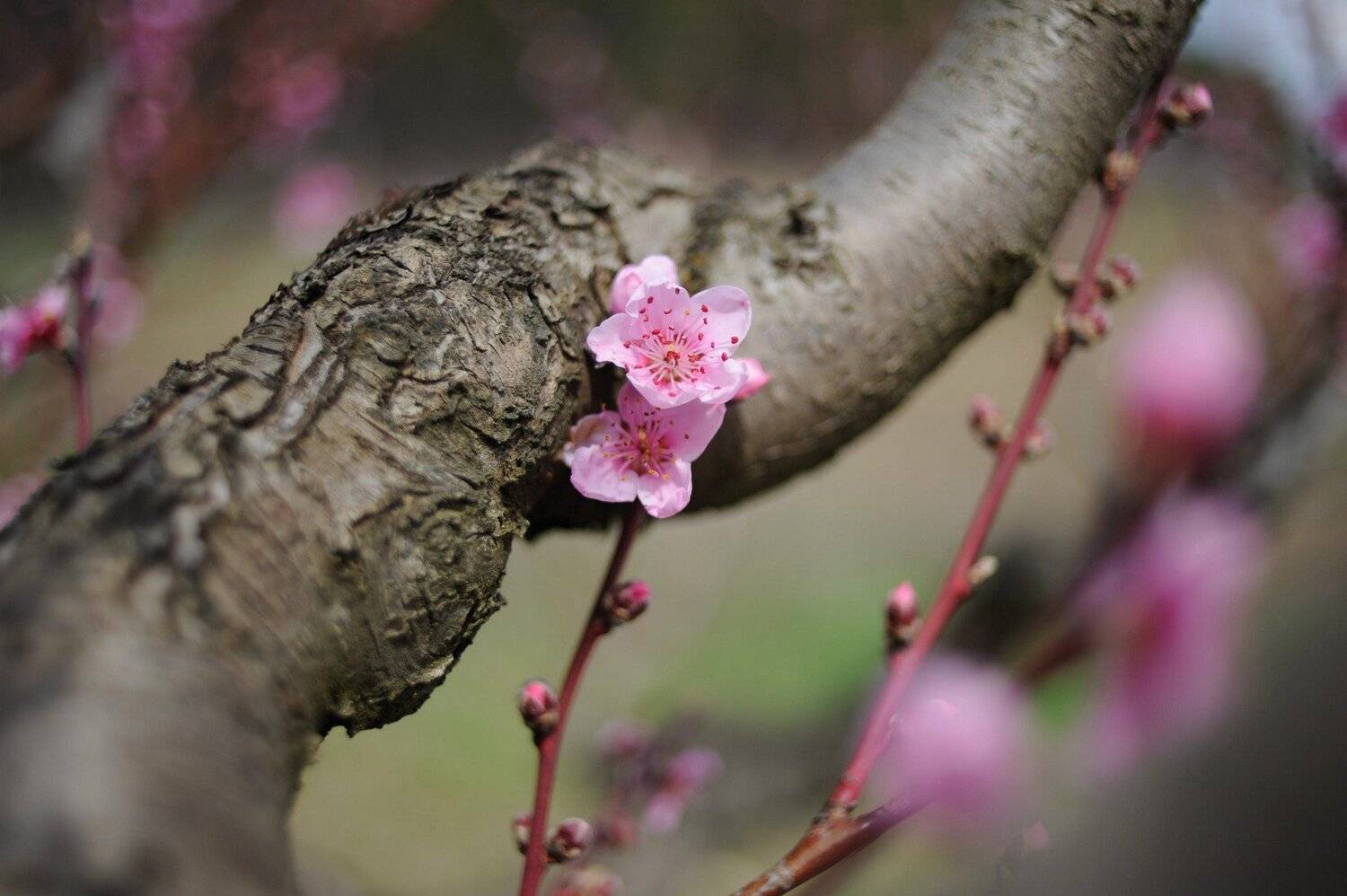, Дарья Васильева
