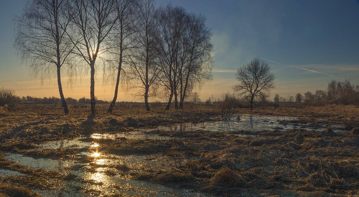 , Елена Рубинская