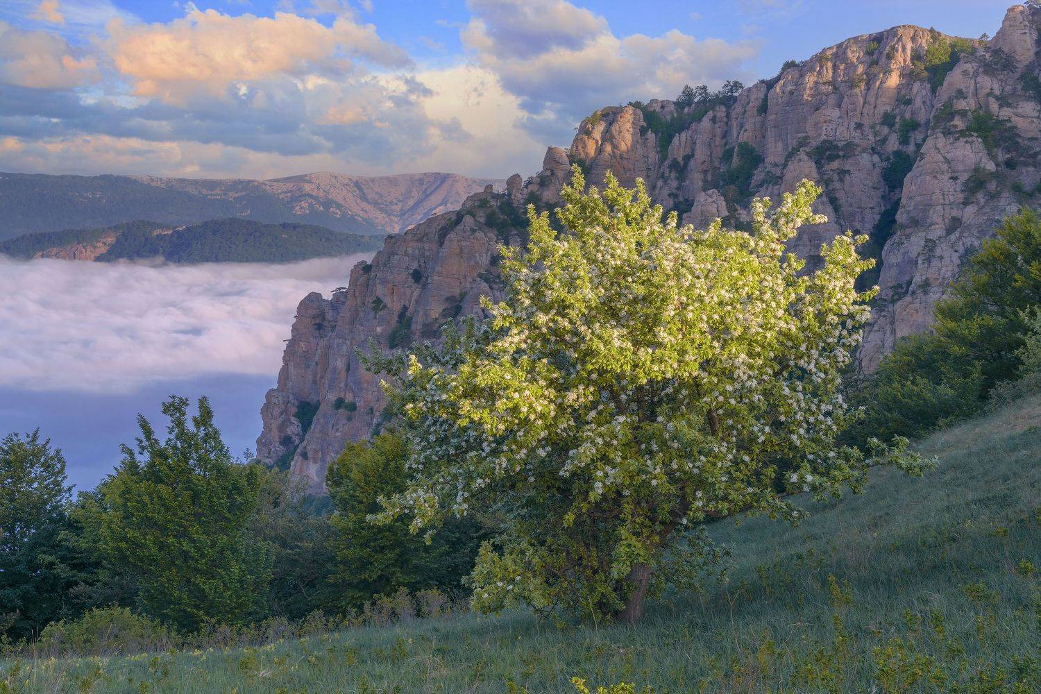 Фототуры с Владимиром Рябковым, Крым, Демерджи, :  #Крым #Crimea #crimea_life#topnature #russpasibo #magic_shots #lovelyRussia #sunset_vision #exclusive_sky  #exclusive_shots #loves_russia2 #photoarena_nature #nature_sultans #nature_perfection #rsa_sky #r, Владимир Рябков