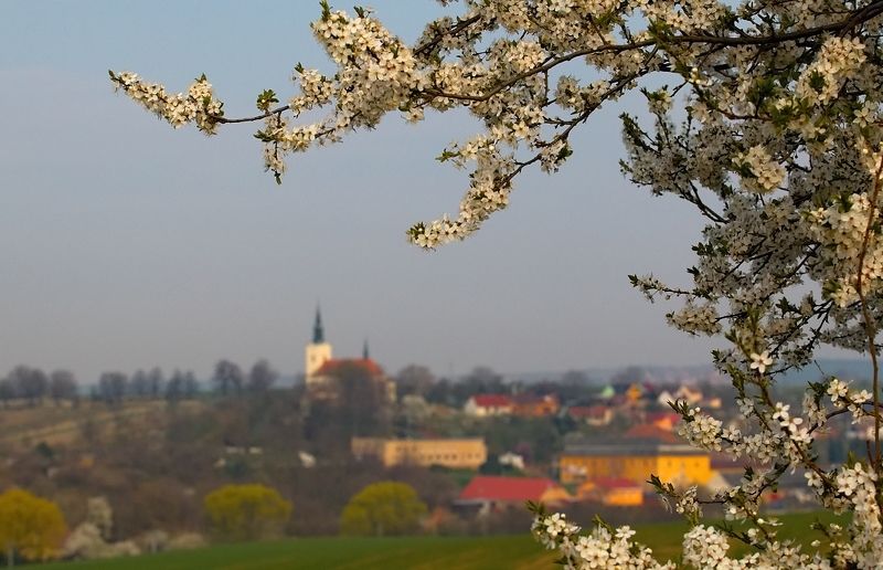 south moravia Kostelec u Kyjova фото превью