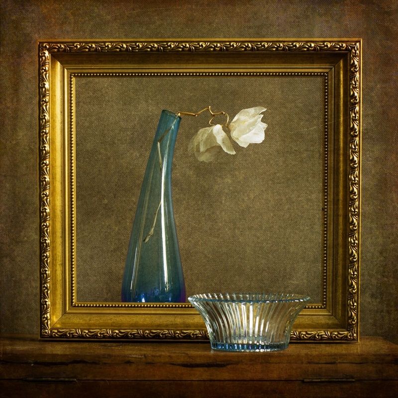 martwa natura ze złotą ramką фото превью