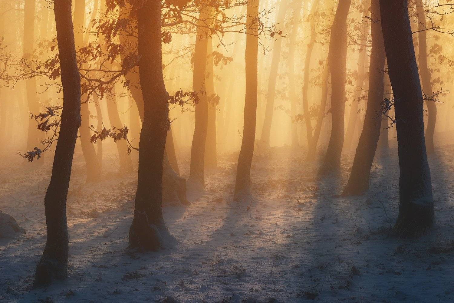 , Szabo Zsolt Andras