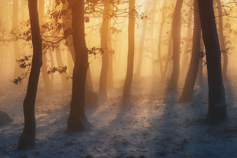 Winter Shire фото превью