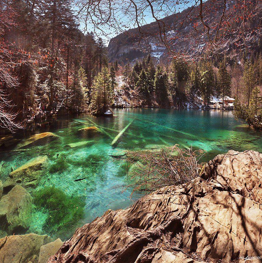 swiss, Матвеев Николай