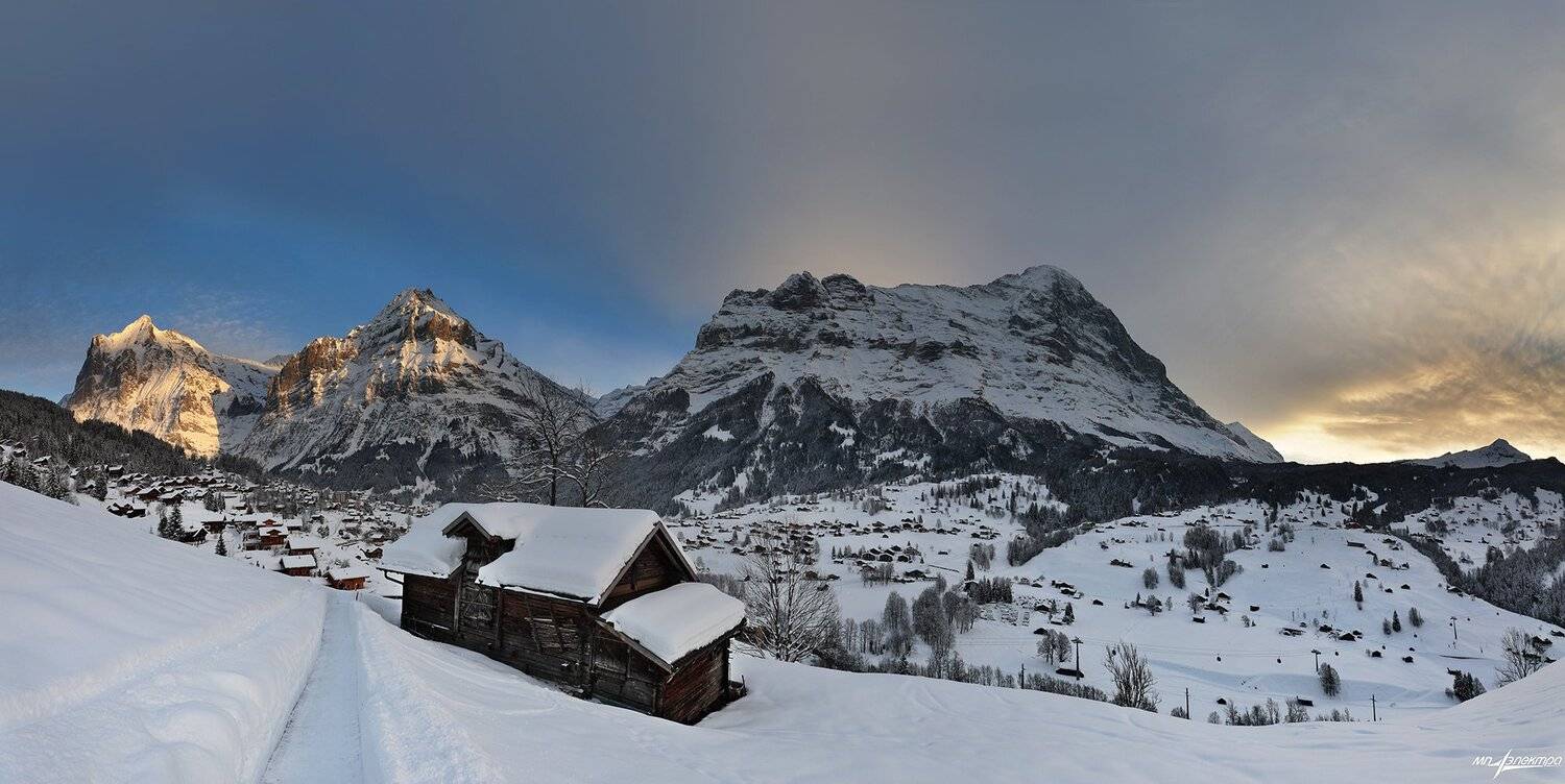 swiss, Матвеев Николай