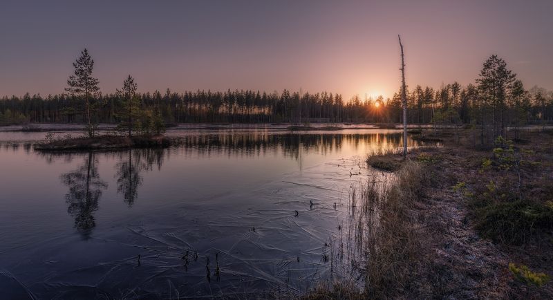 ### фото превью