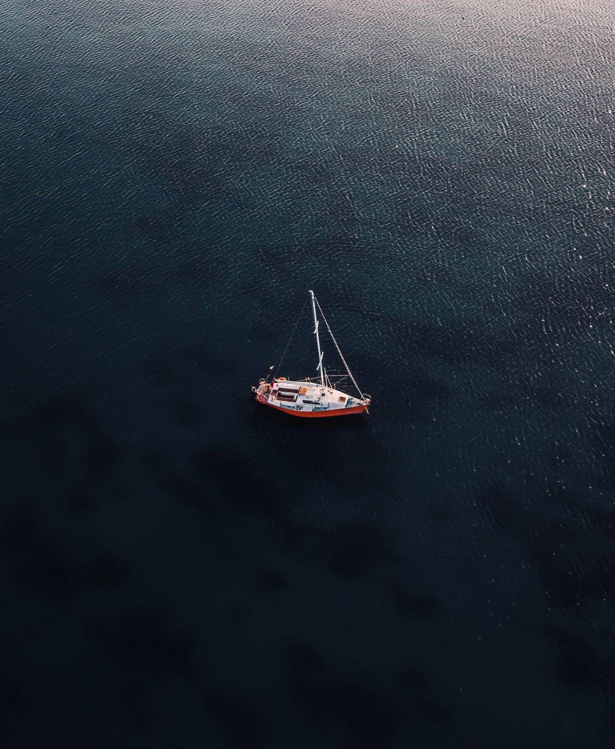 , Александр Шинкаревский