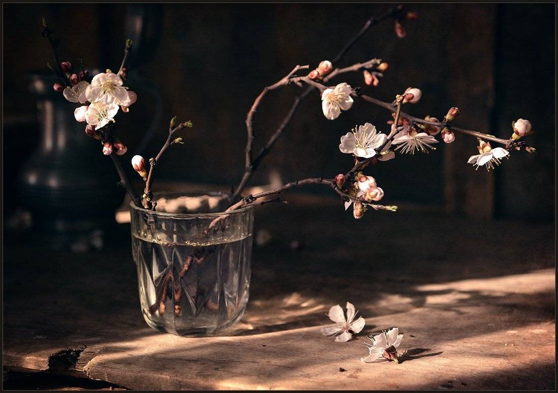 , Александр Хромеев