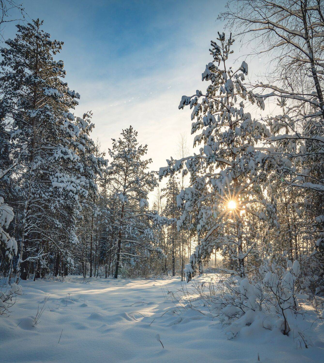 , Константин Дэм