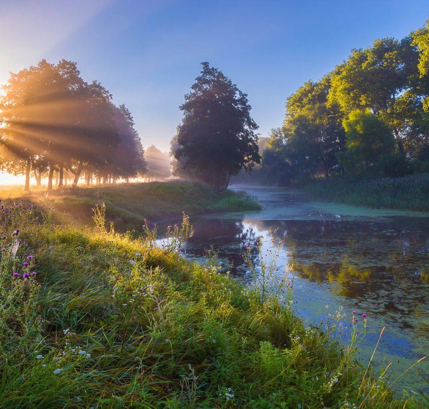 , Александр Подрез