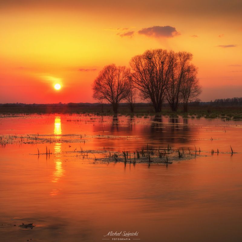 Sunset... фото превью