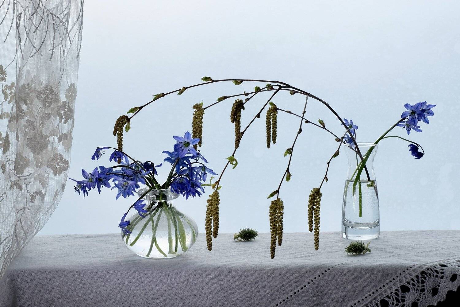 Still life, Scilla siberica, Siberian squill, первоцвет пролеска сибирская, flowers, Spring, flora, blue, birch, glass, nature, , Svetlana Povarova Ree
