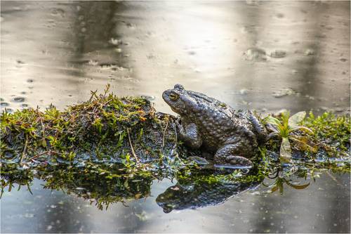 Сидим, жениха ждем.