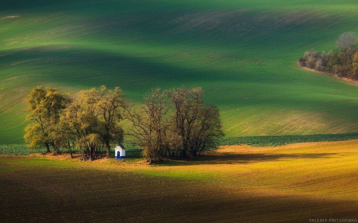 , Валерий Притченко