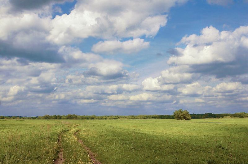 Русское поле фото превью