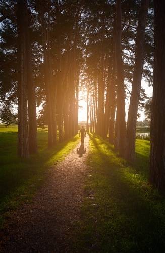 В потоке света - Путь к Свету