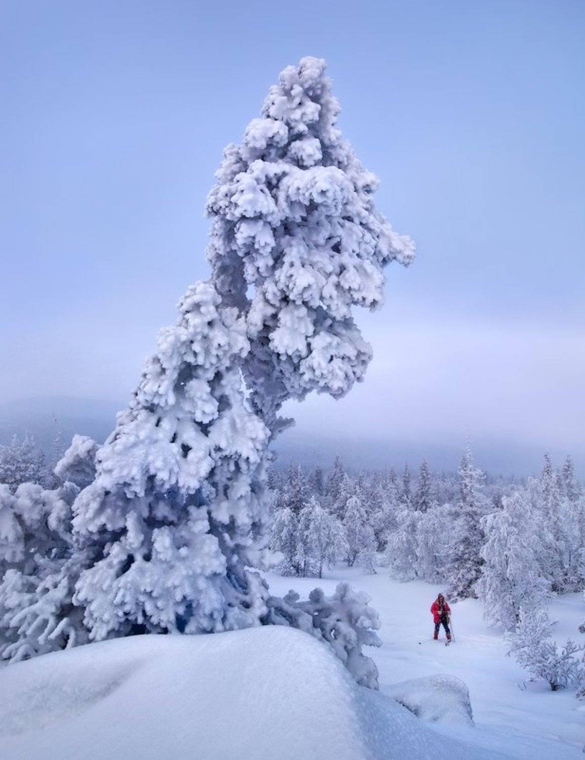 урал, зима, гух, Сергей Макурин