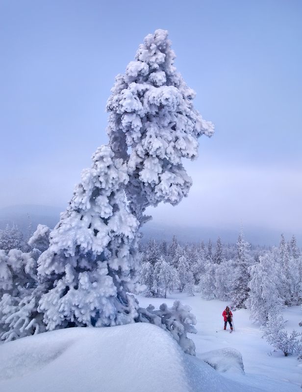урал, зима, гух На Главном Уральском... фото превью