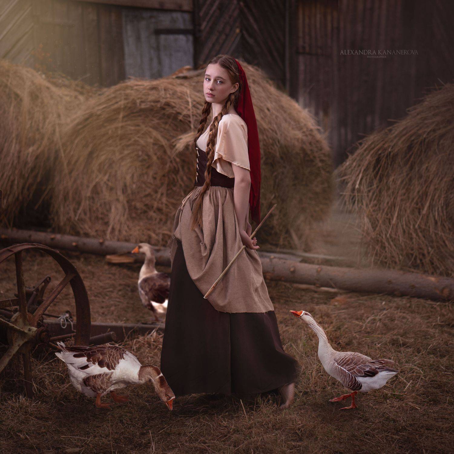 крестьянка, портрет, гуси, животные, Александра Кананерова
