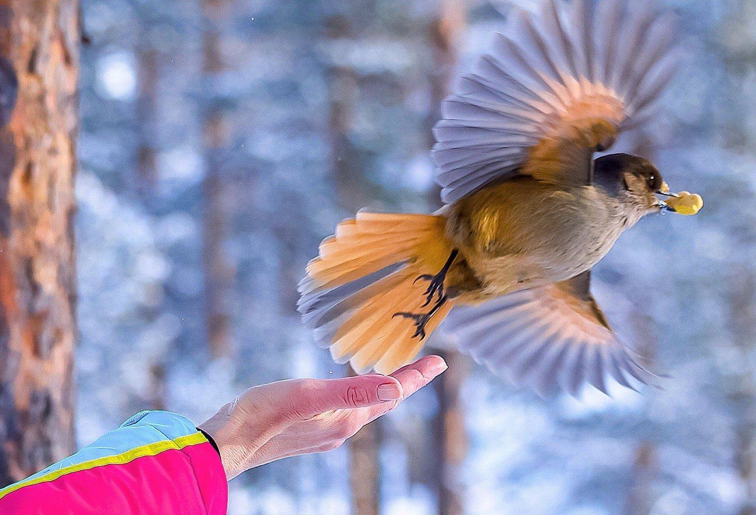 , Наталья Ермохина