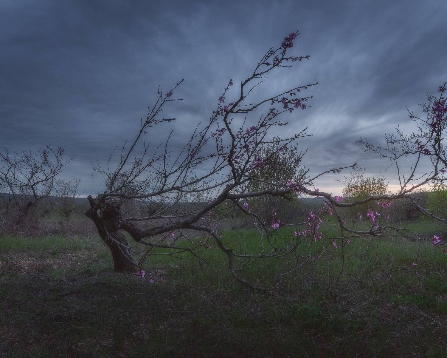 , Oleg Feofanov