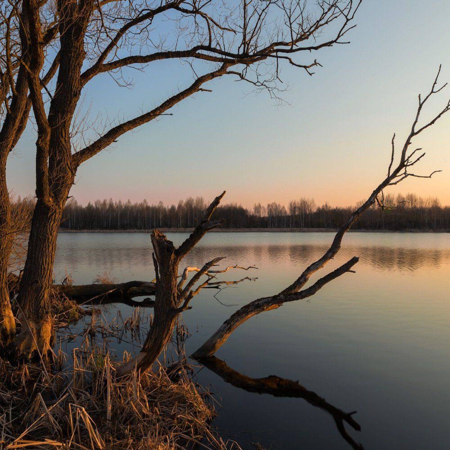 , Михаил Кушнер