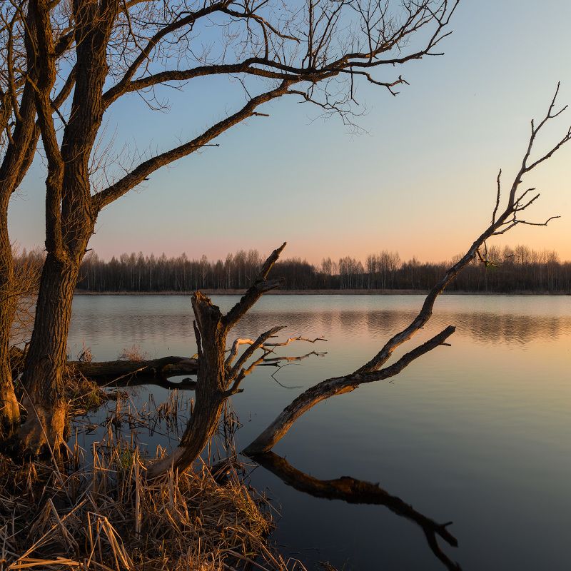 Царство лешего фото превью
